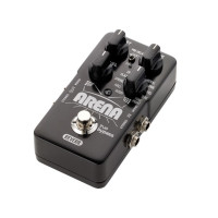 TC ELECTRONIC ARENA REVERB