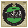 D'ADDARIO EJ25B Flamenco