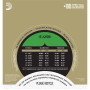 D'ADDARIO EJ25B Flamenco