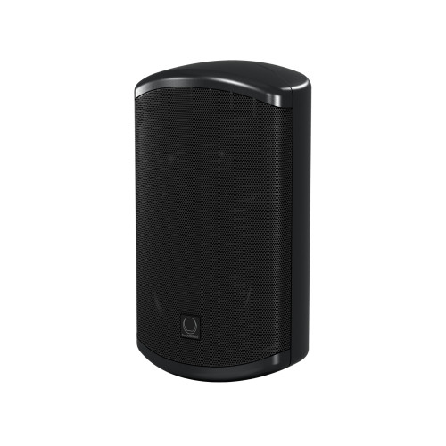 TURBOSOUND TCI52-T