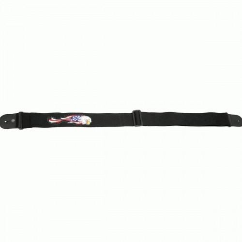 PLANET WAVES 64P04