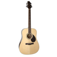 GREG BENNETT GD100RS/N