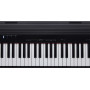ROLAND GO-88P