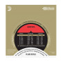 D'ADDARIO EXP45