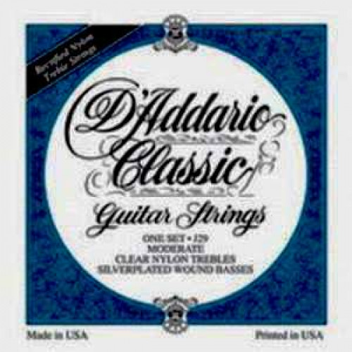 D'ADDARIO J29