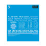 D'ADDARIO EXL115BT
