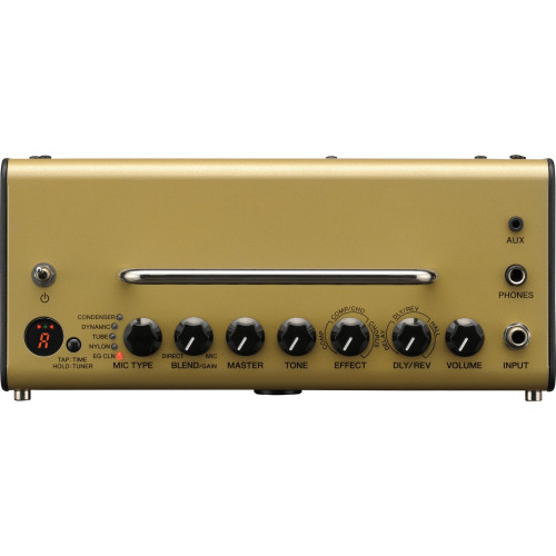 YAMAHA THR5A