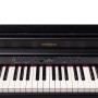 ROLAND RP701-CB