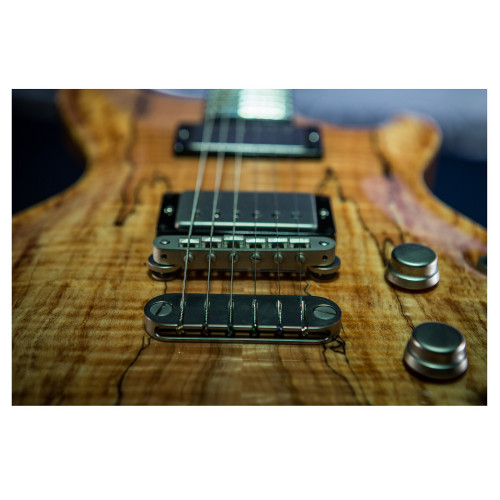 DEAN USA HARDTAIL SPM EXOTIC SPALTED