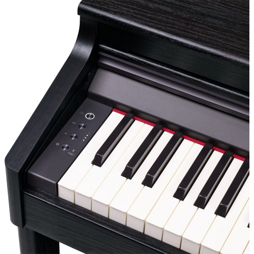 ROLAND RP701-CB