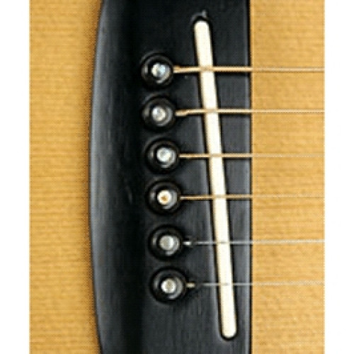 PLANET WAVES PWPS10