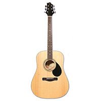 GREG BENNETT GD101S/N
