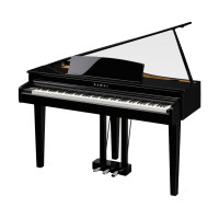 KAWAI DG30