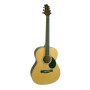 GREG BENNETT GA60/N