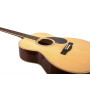GREG BENNETT GA60/N