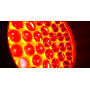 INVOLIGHT PROWASH300
