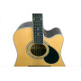 GREG BENNETT GD100SC/N