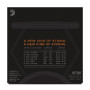 D'ADDARIO NYXL1356W