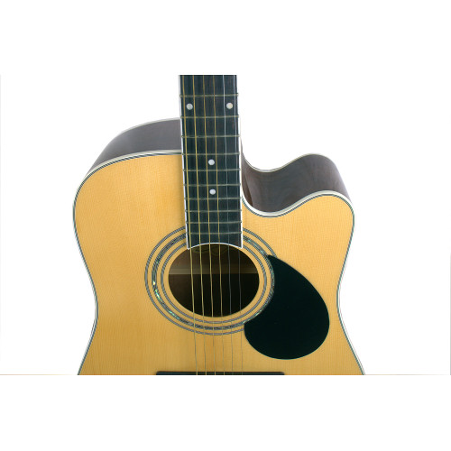 GREG BENNETT GD100SC/N