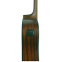 GREG BENNETT GD50T/OPN