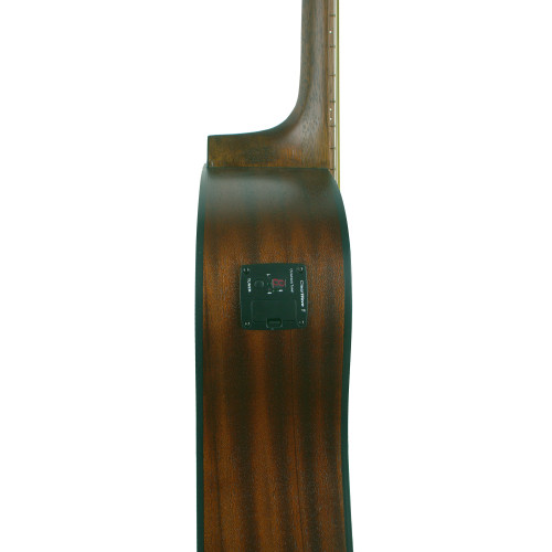 GREG BENNETT GD50T/OPN