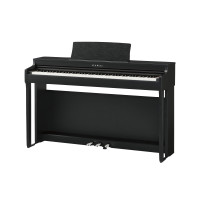 KAWAI CN29B