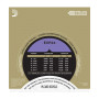 D'ADDARIO EXP44