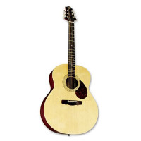 GREG BENNETT GJ100S/N